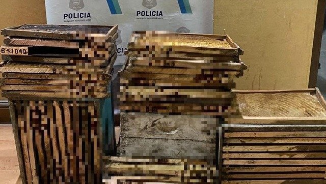 Ladrón de colmenas volvió a robar a un productor apícola: Fue aprehendido