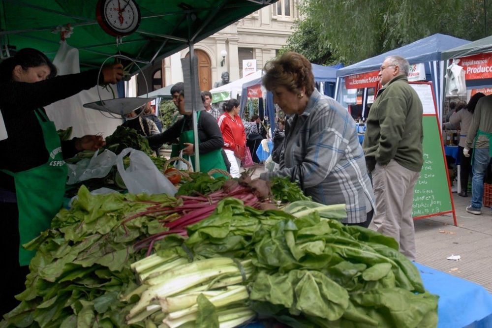 Encontraron alta concentración de parásitos en las verduras cultivadas en la región