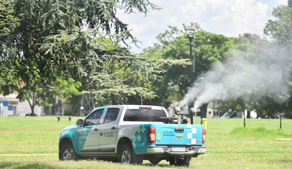 Las fumigaciones volvieron fuertes, pero los mosquitos resisten
