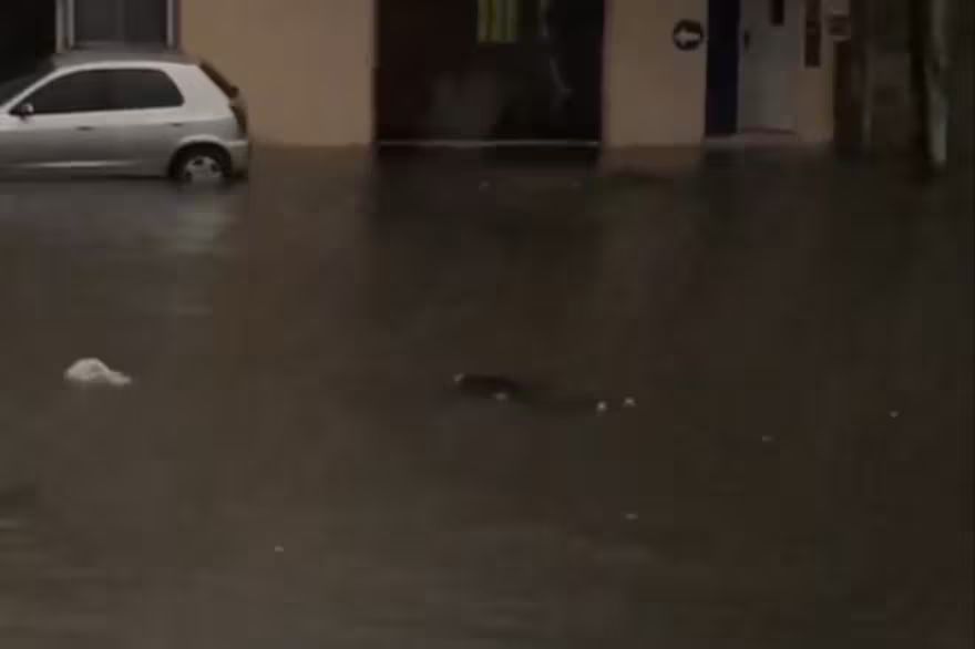 En el medio del temporal apareció el cuerpo de un hombre flotando en Valentín Alsina