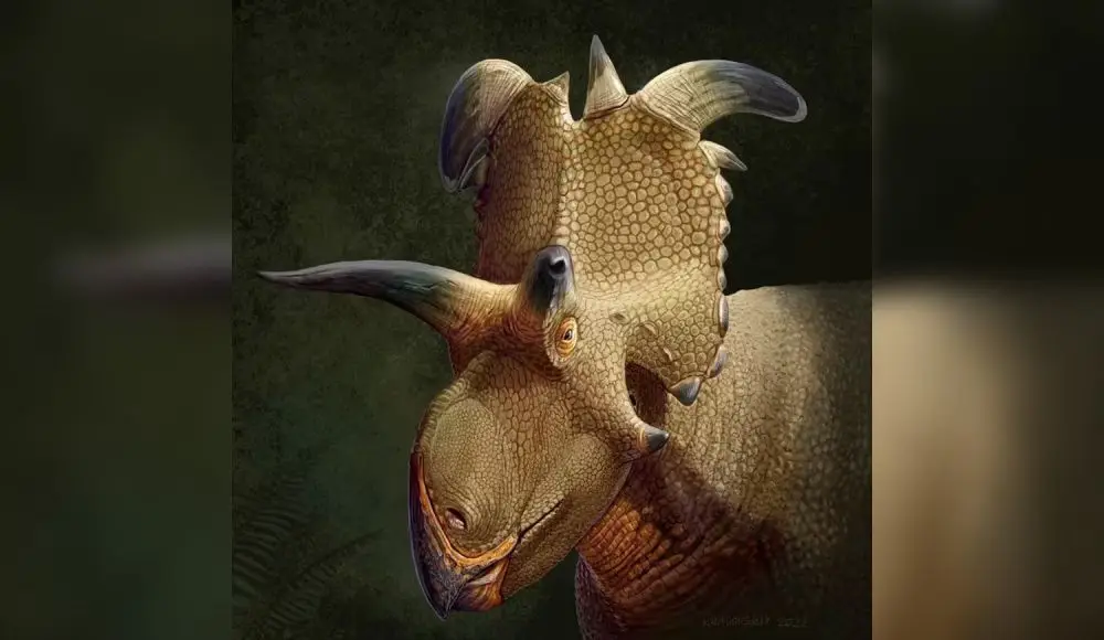 Nuevo hallazgo paleontológico: Lokiceratops, el dinosaurio con cuernos