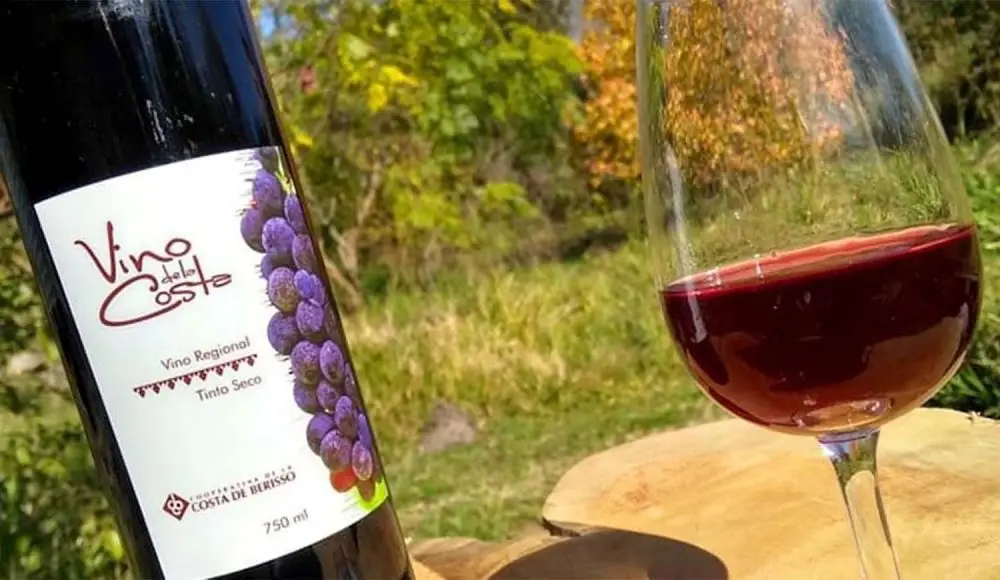 A descorchar: inicia hoy la 21° Fiesta del Vino de la Costa