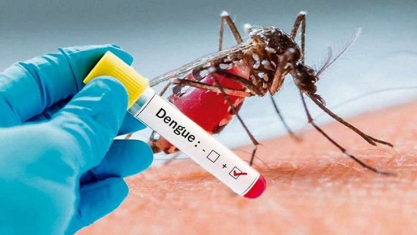 ¿Por qué los casos de dengue podrían ser más graves en el próximo brote?