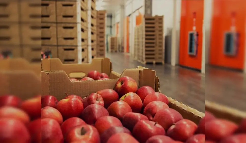 Facilitan la importación de alimentos