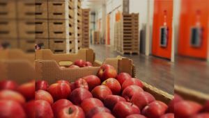 Facilitan la importación de alimentos