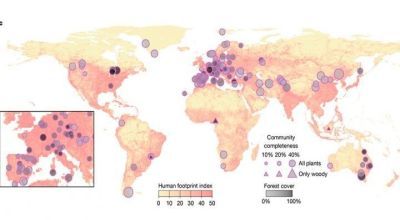Advierten la reducción de la biodiversidad vegetal