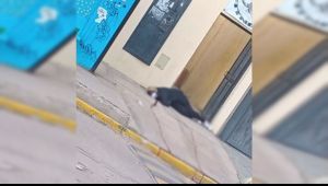 Policía mató a la novia de su ex y se atrincheró en un gimnasio