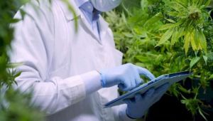 Se viene el primer Encuentro sobre Cannabis y Salud en La Plata