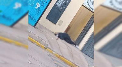 Policía mató a la novia de su ex y se atrincheró en un gimnasio