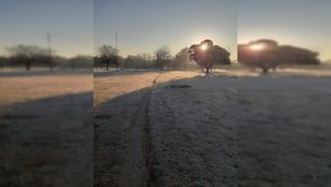 La Plata sigue bajo cero y estuvo entre las ciudades más frías del país