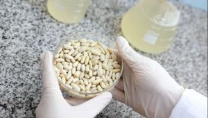 ¿Tirás el agua de los porotos? La UNLP descubrió que puede ser clave para alimentos saludables