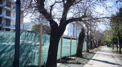 Cerraron el Parque Saavedra para transformarlo y restaurarlo