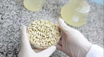 ¿Tirás el agua de los porotos? La UNLP descubrió que puede ser clave para alimentos saludables