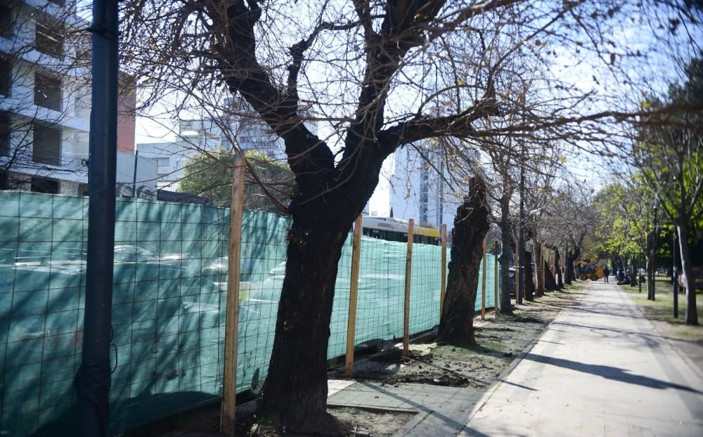 Se inició la obra de reconstrucción del Parque Saavedra