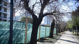 Se inició la obra de reconstrucción del Parque Saavedra