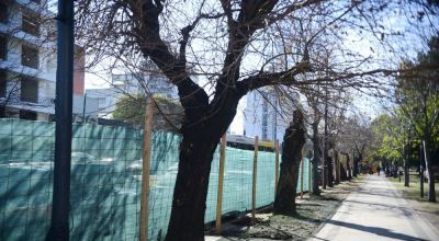 Se inició la obra de reconstrucción del Parque Saavedra