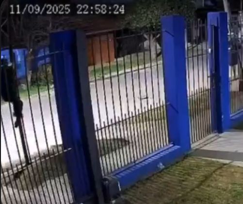 Indignante: Se trepó a un poste de luz, robó la lámpara y dejó la cuadra a oscuras