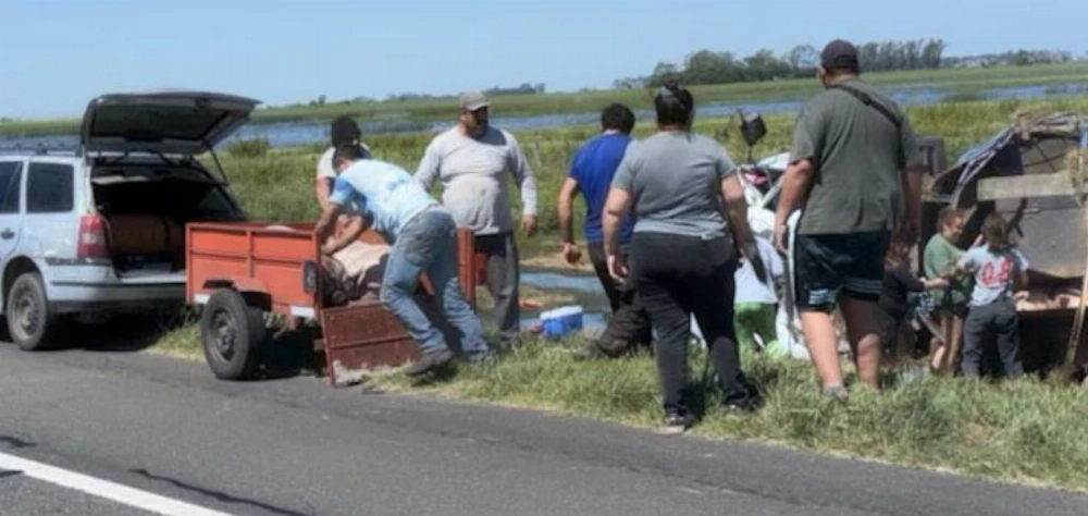 Ruta 7: un camión que transportaba cerdos volcó en Chacabuco y los vecinos se robaron a los animales