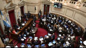 Nuevo revés para el Gobierno: el Senado rechazó los vetos de Milei al financiamiento del Garrahan y las universidades