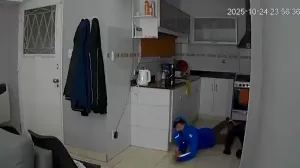 Detuvieron a los hermanos que robaban arrastrándose 