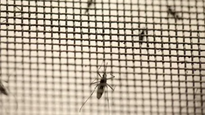 Los casos aislados de dengue mantienen el alerta y refuerzan acciones preventivas en la provincia