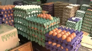 El precio de los huevos vuelve a subir en La Plata