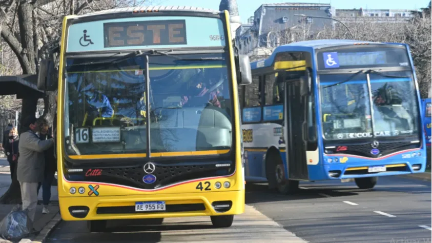 Un concejal libertario pide subsidiar los micros para que los trabajadores municipales gasten menos